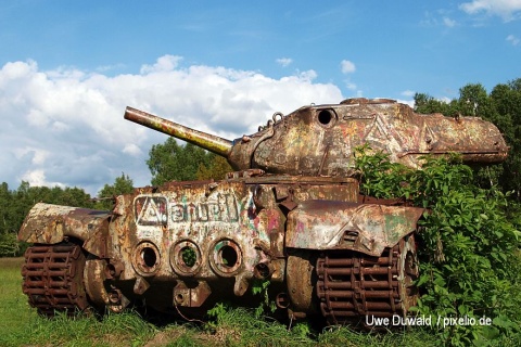 Die Natur erobert den Panzer