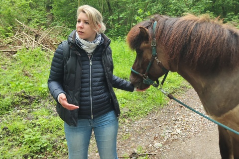 Pferdegestütztes Seminar